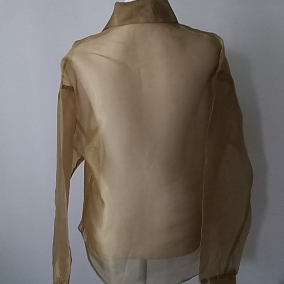 Sheer button down blouse with matching sca… - Picture 4 of 8